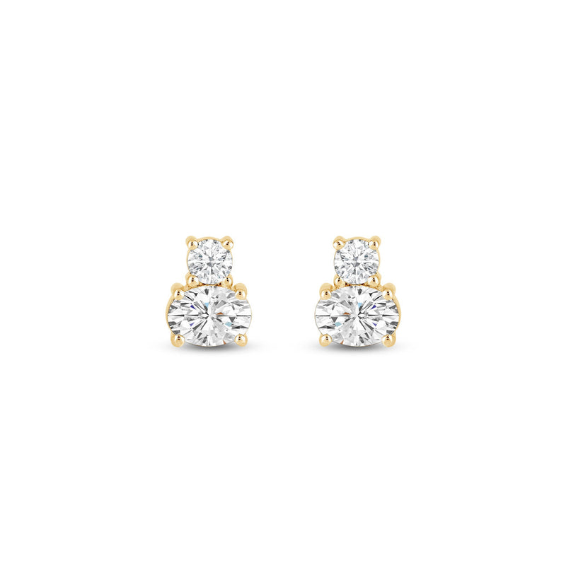 Round & Oval Cut Two Stone Moissanite Diamond Earrings for Women