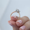 2.0  - 4.0 CT Oval  Cut CVD Diamond Hidden Halo Engagement Ring