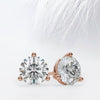 Round Cut Moissanite Stud Diamond Earrings in 14K Gold