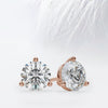 Round Cut Moissanite Diamond Stud Earrings in 14K White Gold