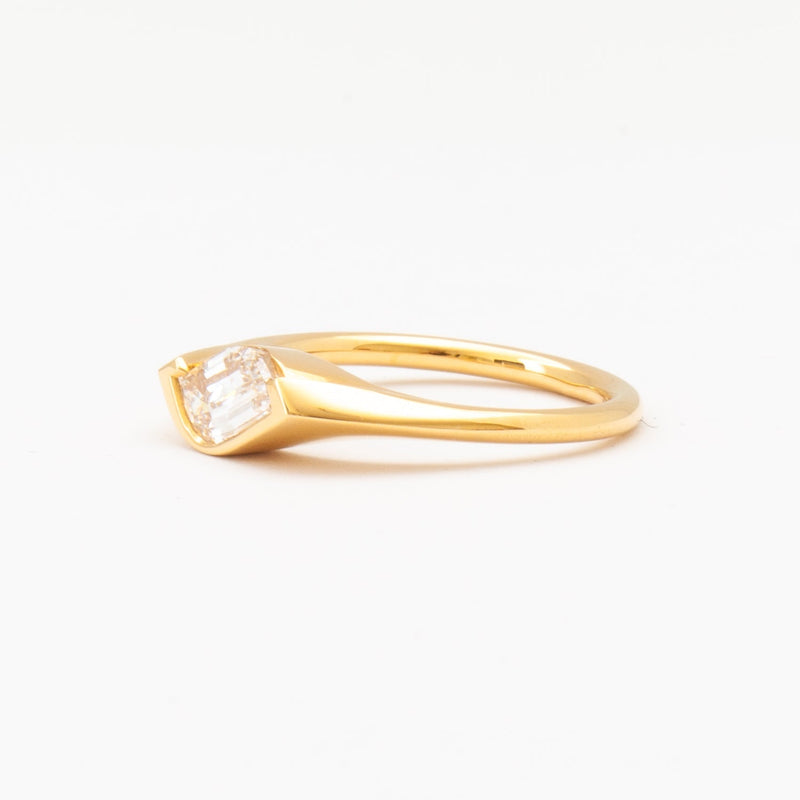 0.50CT-1.20CT Flame-cut Diamond Moissanite Signet Engagement Ring