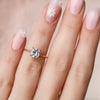 1.0 - 3.0 CT Cushion Cut CVD Diamond Hidden Halo Engagement Ring