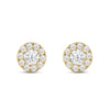 Round Cut Moissanite Halo Diamond Stud Earrings for Women