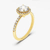 Round Cut Moissanite Round Halo Engagement Ring (1.00 CT)