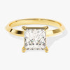 Knife Edge Princess Moissanite Engagement Ring (1.50 CT)