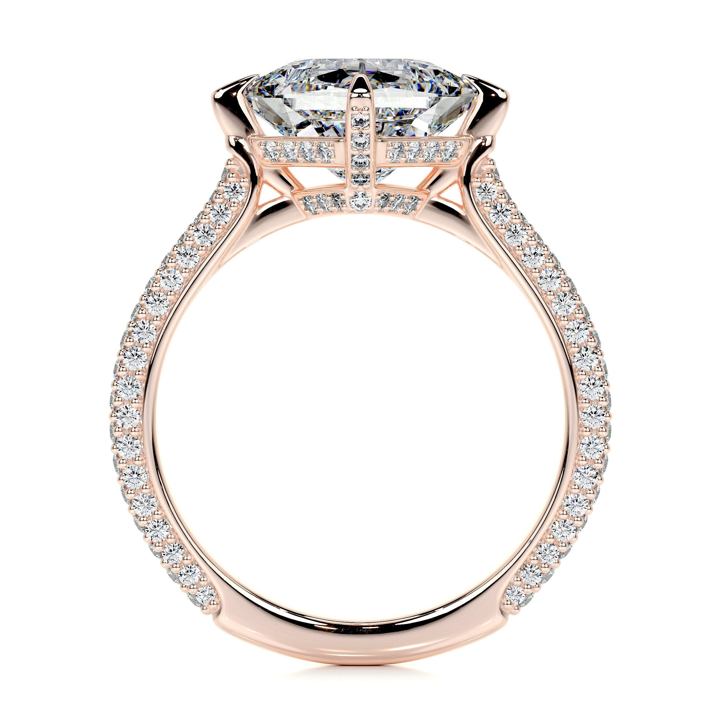 2.50 ct Princess Hidden Halo Moissanite Engagement Ring