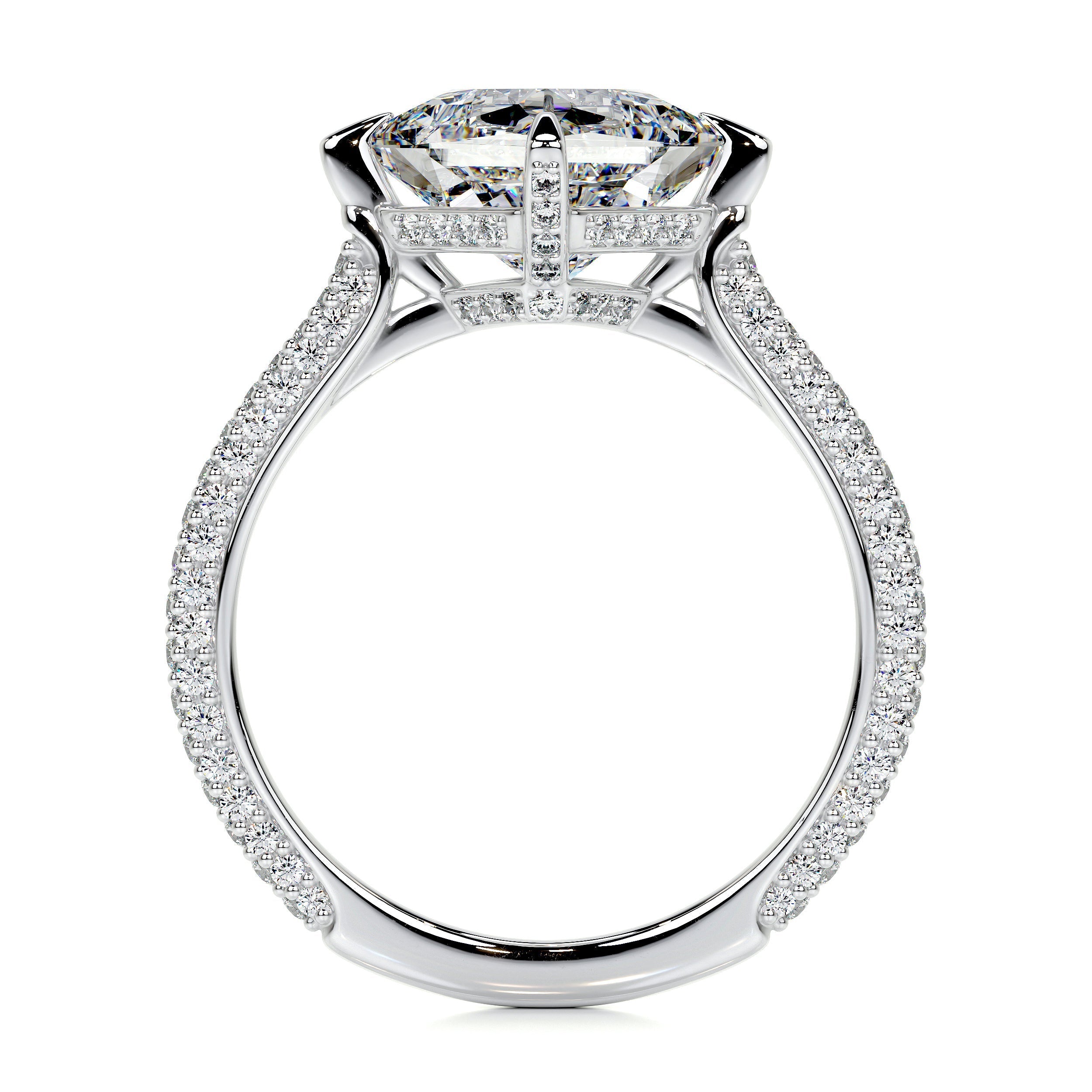2.50 ct Princess Hidden Halo Moissanite Engagement Ring