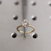 1.0 - 3.0 CT Round  CVD Diamond Pave Setting Engagement Ring