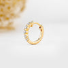 0.25 TCW-0.34 TCW Round Moissanite Diamond Hoop Earrings